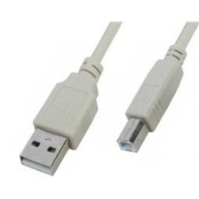 Καλώδιο USB 2.0 Type A Αρσενικό σε Type B Αρσενικό 5m Μπεζ VNzane VN-U602B