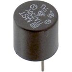 Ασφάλεια TR5 Βραδείας Τήξης 1A 250VAC για PCB 0034.6615 Schurter