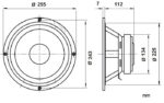 Gemini Μεγάφωνο Woofer Υαλόκραμα 10" 100W RMS 4Ω Μαύρο/Πορτοκαλί GEM.100W 10.S - Image 2