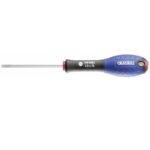 Expert Κατσαβίδι Ίσιο 2mm, Μήκος Άκρου 50mm E160101