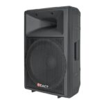React Επαγγελματικό Ηχείο 15" 500W 97dB 8Ω PA-9015 Μαύρο