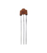 Αντιπαρασιτικό Πηνίο Choke EMI 22pF 100V ΤΗΤ DSS306-55YS220