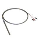 Αισθητήρας Θερμοκρασίας 100mm Φ6.4mm Τύπου Pt100 με Διχαλωτούς Ακροδέκτες 3m Autonics TW-R 03.053.0110