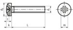 Βίδα M3 Ατσάλινη Μήκος 20mm Κεφαλή Philips PH1 Bossard 1154338 - Image 2